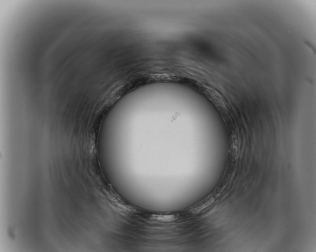 X0000097300665200802151123