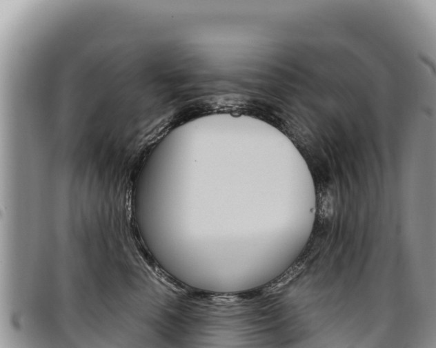 X0000097300666200802151123