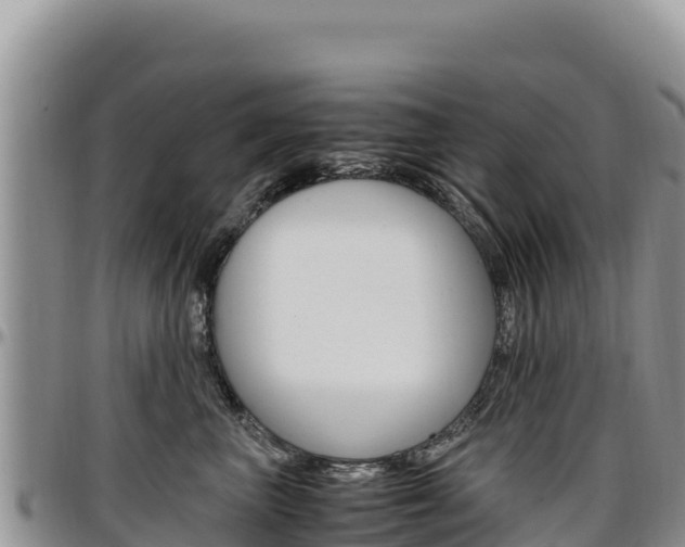 X0000097300667200802151123