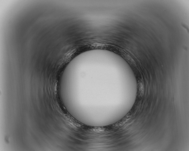 X0000097300668200802151123