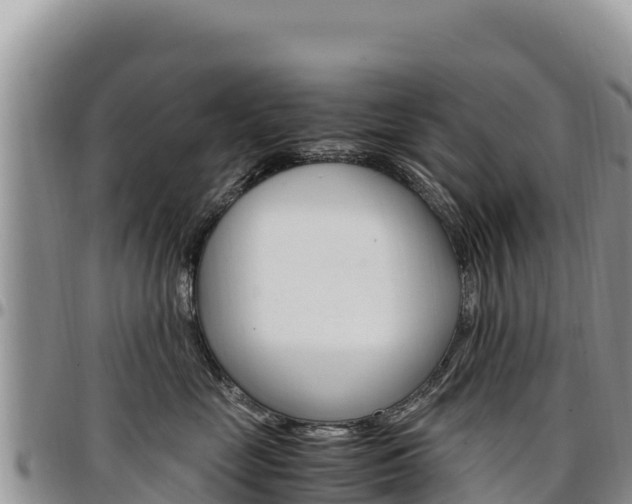 X0000097300669200802151123