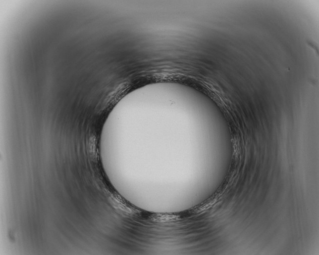 X0000097300670200802151123