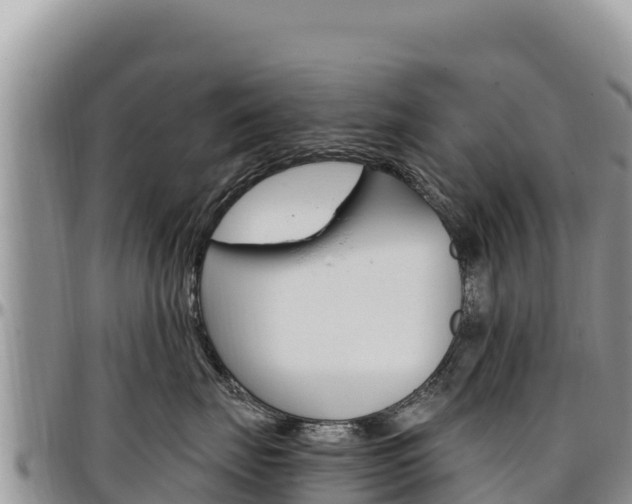 X0000097300671200802151123