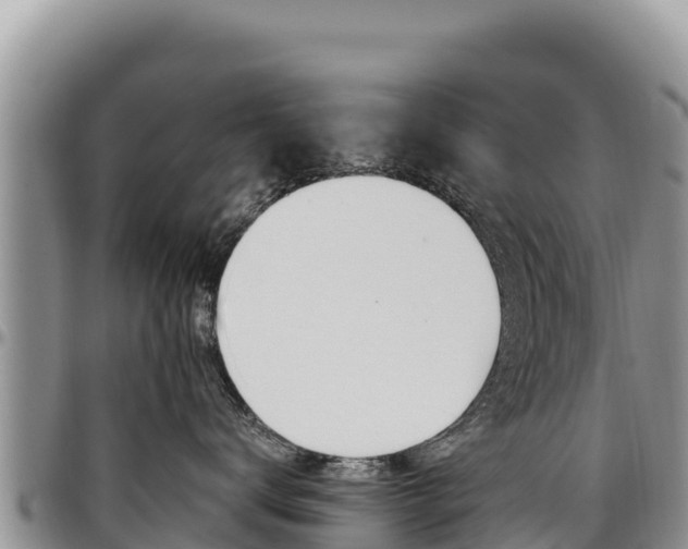 X0000097300672200802151123