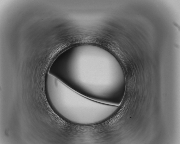 X0000097300673200802151123