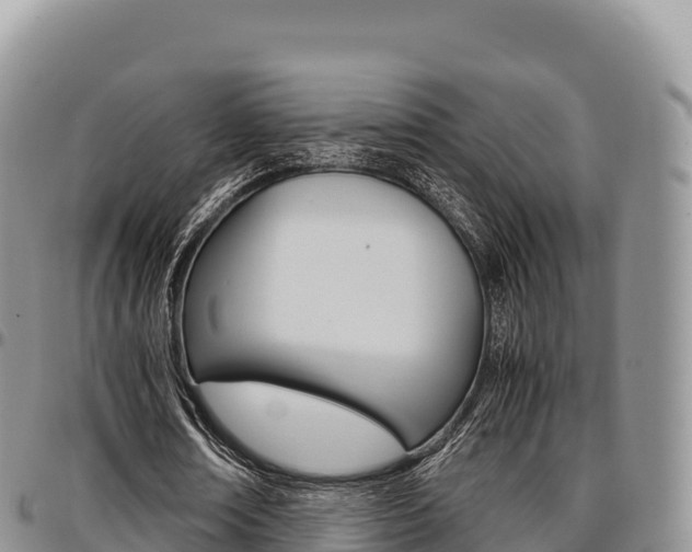 X0000097300674200802151123
