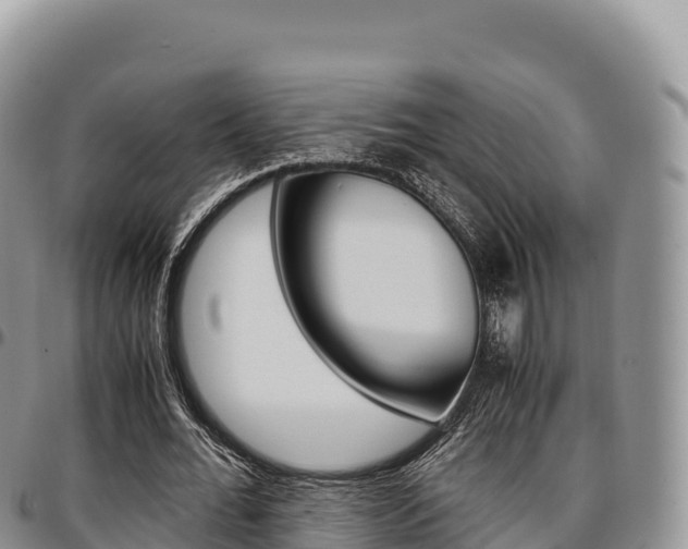 X0000097300676200802151123