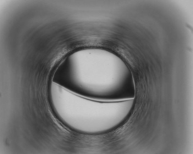 X0000097300677200802151123