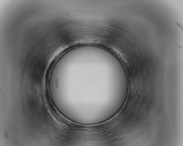 X0000097300678200802151123
