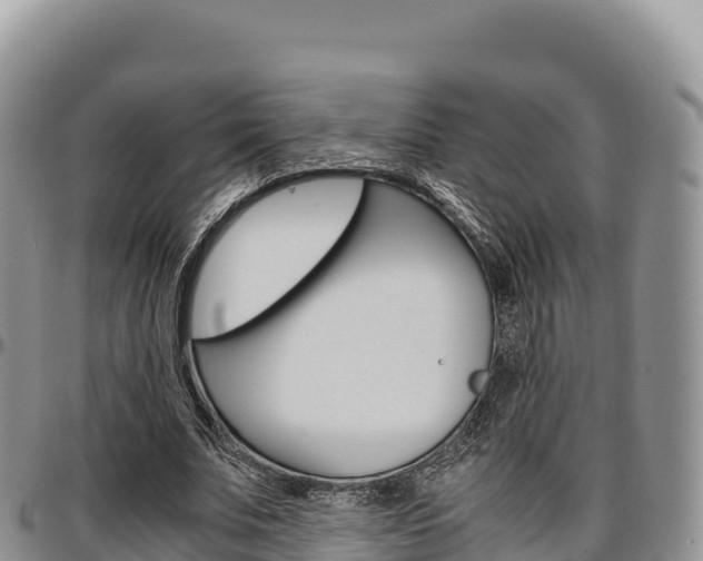 X0000097300679200802151123