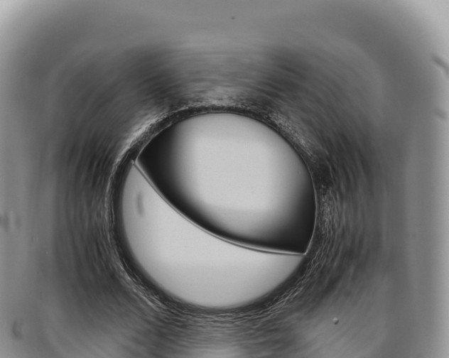 X0000097300680200802151123