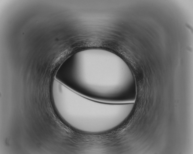 X0000097300681200802151123