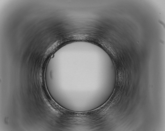 X0000097300682200802151123