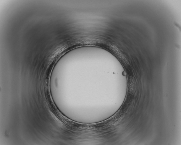 X0000097300683200802151123