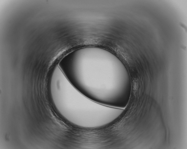 X0000097300684200802151123