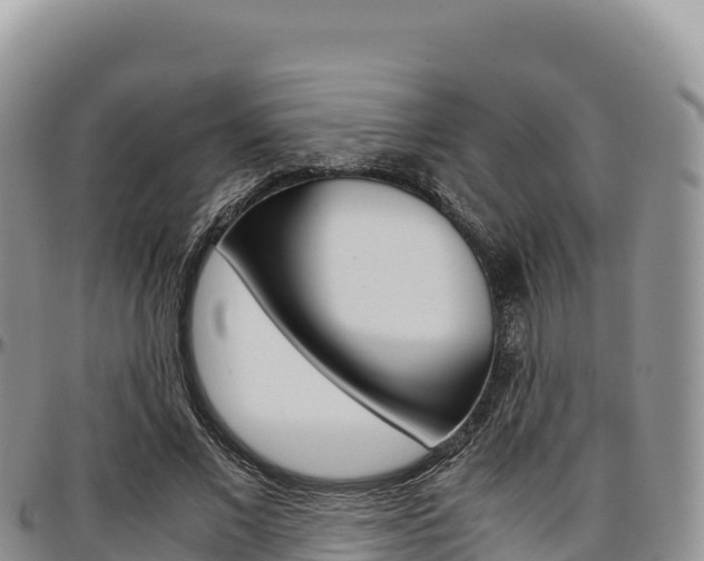X0000097300685200802151123