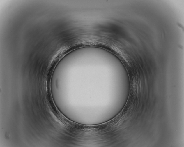 X0000097300686200802151123