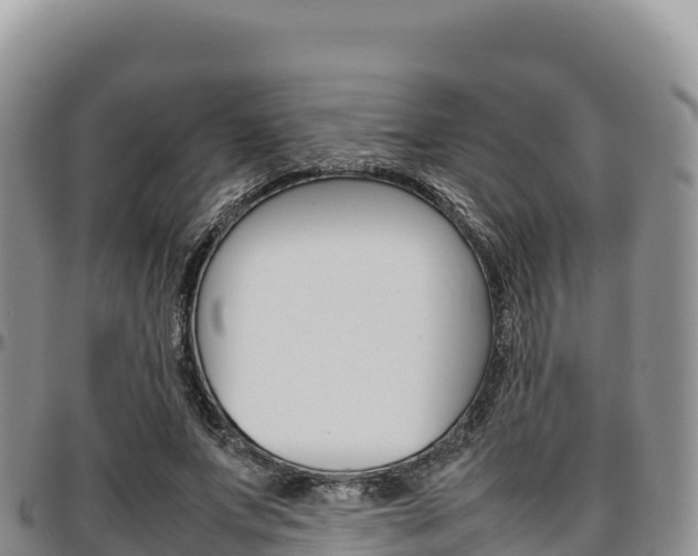 X0000097300687200802151123