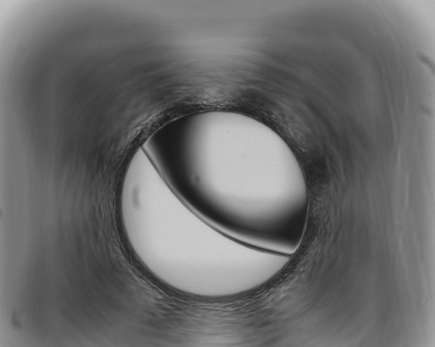 X0000097300689200802151122