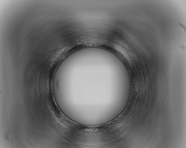 X0000097300690200802151122