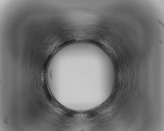 X0000097300691200802151122