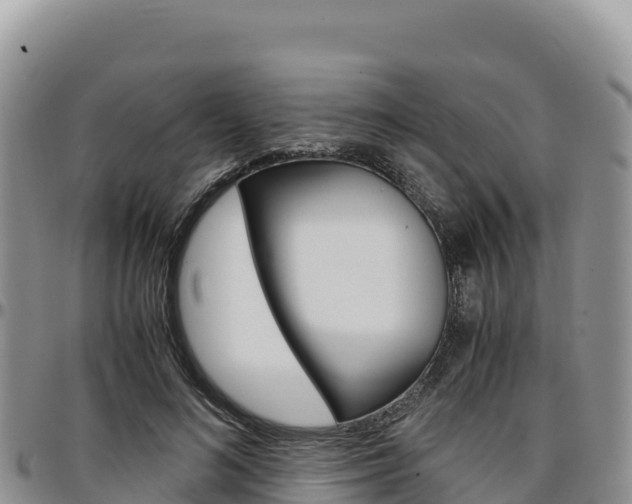 X0000097300692200802151122