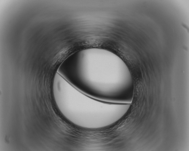X0000097300693200802151122