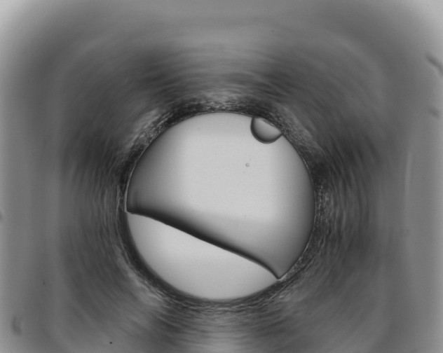 X0000097300694200802151122