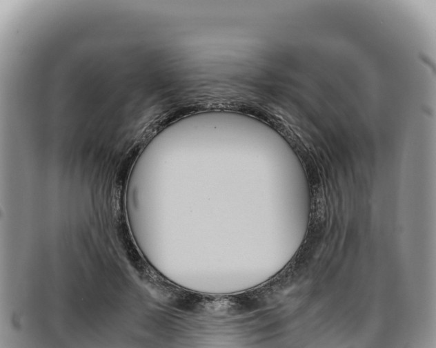X0000097300695200802151122
