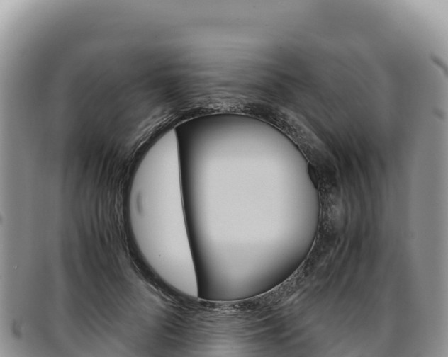 X0000097300696200802151122