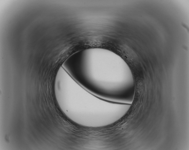 X0000097300697200802151122