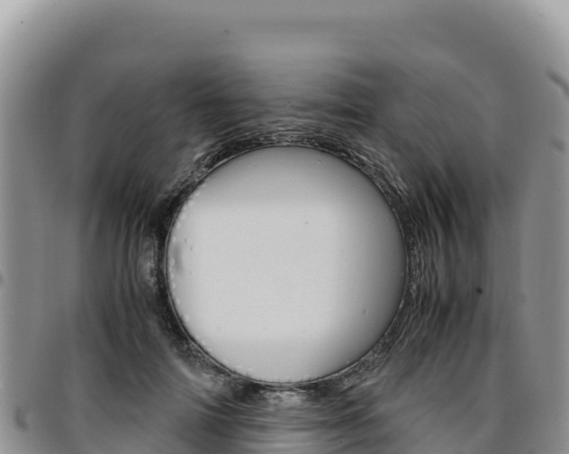 X0000097300698200802151122