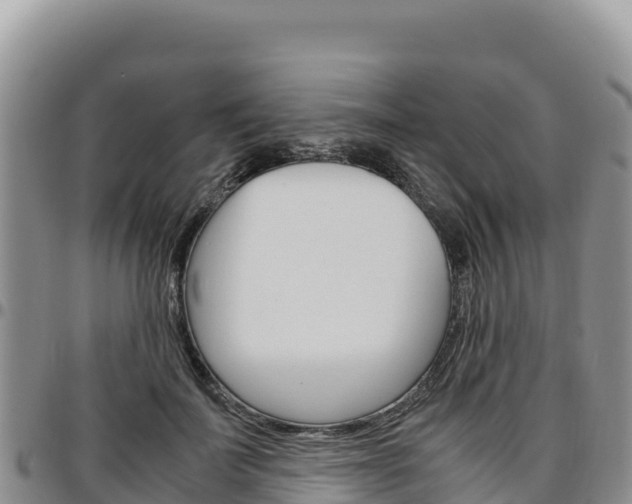 X0000097300699200802151122