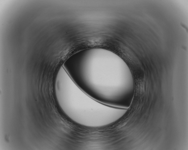 X0000097300700200802151122