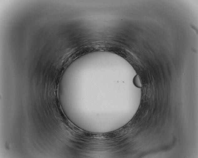 X0000097300702200802151122