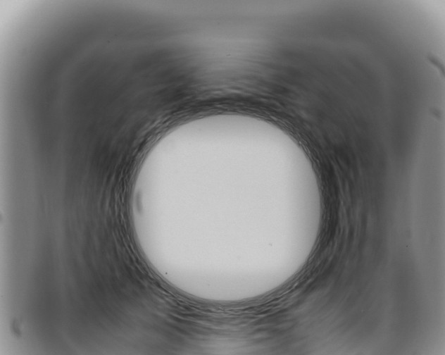 X0000097300705200802151122