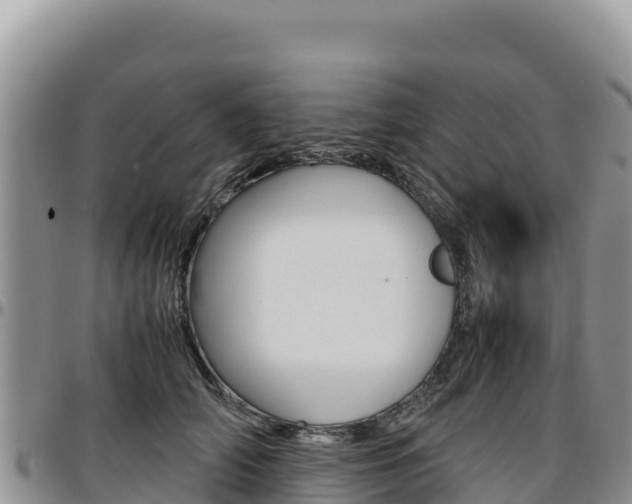 X0000097300706200802151122