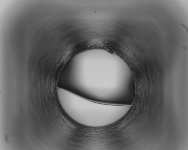 X0000097300708200802151122