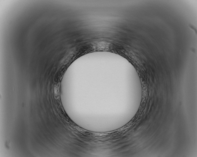 X0000097300709200802151122
