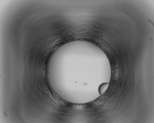 X0000097300710200802151122