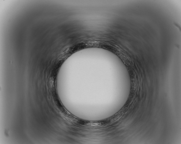 X0000097300711200802151122