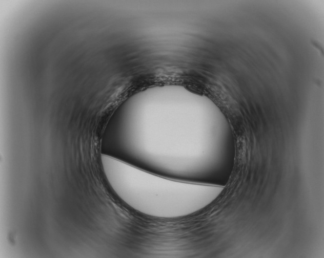X0000097300712200802151122