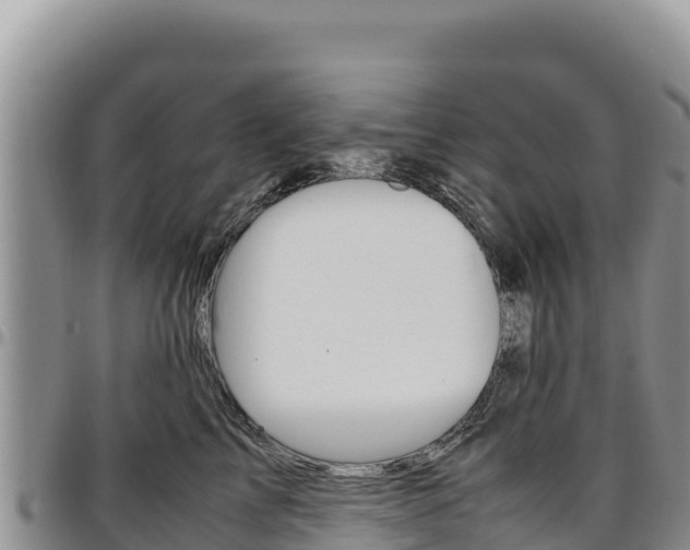 X0000097300713200802151122