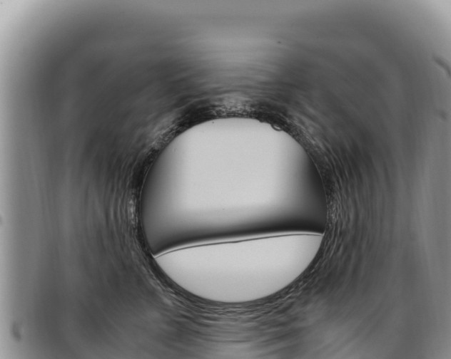 X0000097300715200802151122