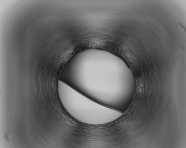 X0000097300716200802151122