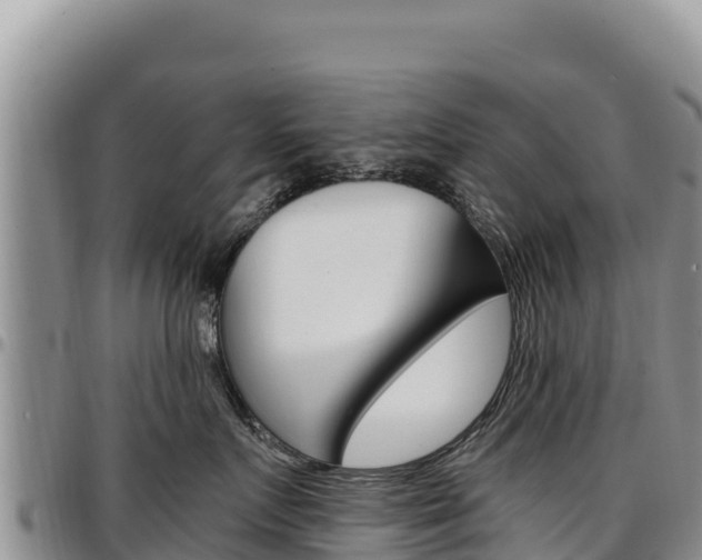 X0000097300719200802151122