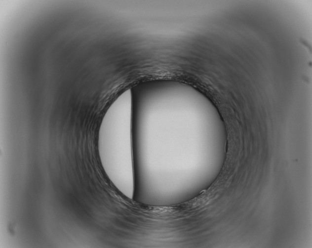 X0000097300720200802151122
