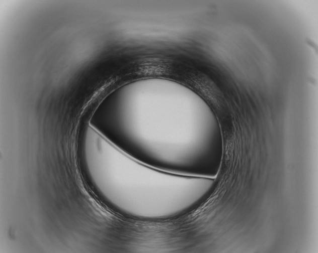 X0000097300722200802151121