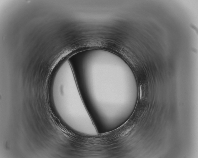 X0000097300723200802151121