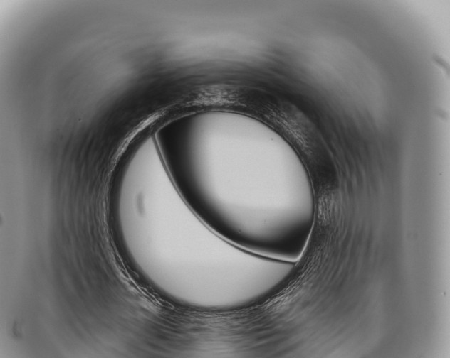 X0000097300724200802151121